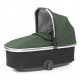 Alpine Green