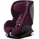 Burgundy Red