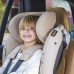 автокресло BeSafe iZi Combi X4 Isofix