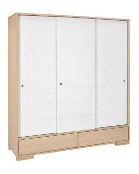 Шкаф-купе Schardt Slide Oak Шкаф-купе Schardt Slide Oak